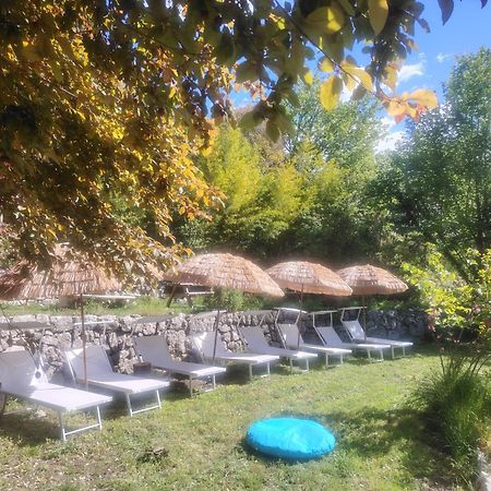 Domaine Des Petites Soeurs A 800M Du Centre Historique Avec 5200M2 De Parc Arbore Vence Exterior foto